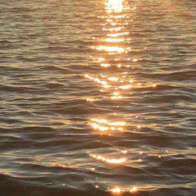 江南APP下载手机版截图